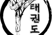 Martial artist kicking with Korean script.