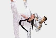 Martial artists performing high kicks together.